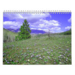 My Colorado Wall Calendars