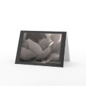 My Condolences cards