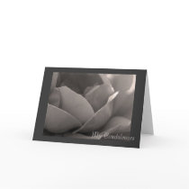 My Condolences cards by Rainmountain My Condolences cards