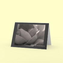 My Condolences cards by Rainmountain My Condolences cards
