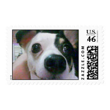 My Cute Chihuahua, Ms Cutie Stamp
