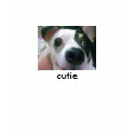 My Cute Chihuahua, Ms Cutie T-Shirt by LittleMilkyShop My Cute Chihuahua, Ms Cutie T-Shirt