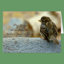 My Days Are Like This cards