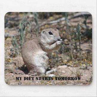 MY DIET STARTS TOMORROW mousepad
