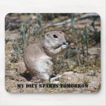 MY DIET STARTS TOMORROW mousepads