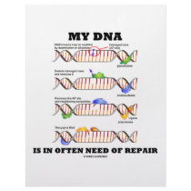My DNA Is In Often Need Of Repair (DNA Humor) letterhead by wordsunwords My DNA Is In Often Need Of Repair (DNA Humor) letterhead