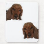 My dog cinnamon  Mousepad mousepads