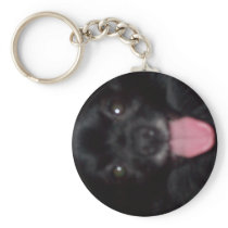 My dog key chain