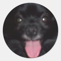 My dog round sticker