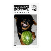 My Dog Snoop Likes Watermelons Postage Stamp