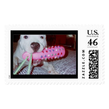 My dorky dog postage stamp