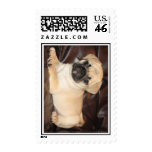 My Dream Postage Stamps