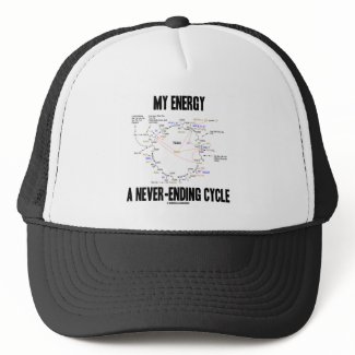 My Energy A Never-Ending Cycle (Krebs Cycle) hat