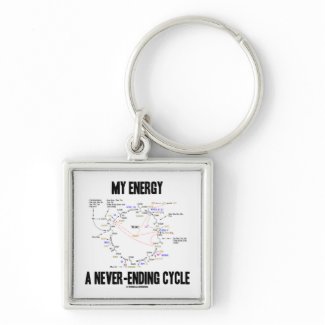 My Energy A Never-Ending Cycle (Krebs Cycle) keychain
