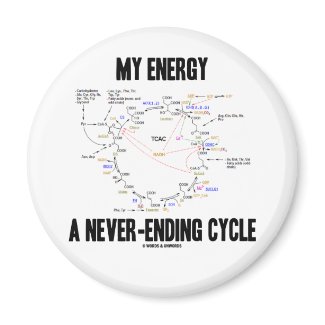My Energy A Never-Ending Cycle (Krebs Cycle) magnet