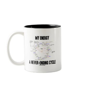 My Energy A Never-Ending Cycle (Krebs Cycle) mug