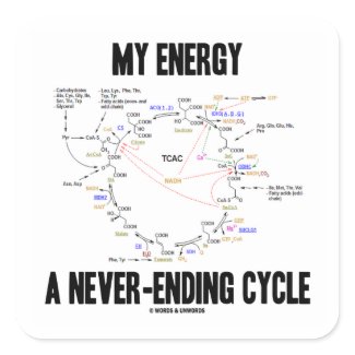 My Energy A Never-Ending Cycle (Krebs Cycle) sticker