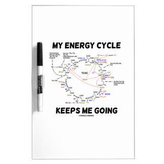 My Energy Cycle Keeps Me Going (Krebs Cycle) Dry Erase Whiteboard