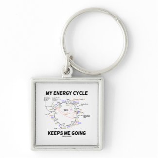 My Energy Cycle Keeps Me Going (Krebs Cycle) Keychains