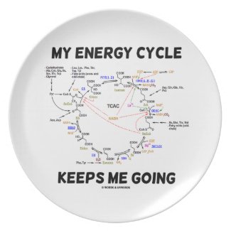 My Energy Cycle Keeps Me Going (Krebs Cycle) Plate