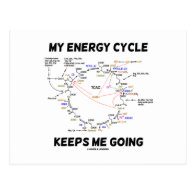 My Energy Cycle Keeps Me Going (Krebs Cycle) Postcards