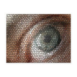 my eye post card