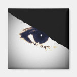 my eye sees you refrigerator magnets