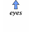 My Eyes Are Up Here, Not Down There t-shirts by FunnyFloridian My Eyes Are Up Here, Not Down There t-shirts