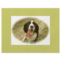 My Faithful Spaniel flyers by puppiluv My Faithful Spaniel flyers