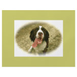 My Faithful Spaniel flyers