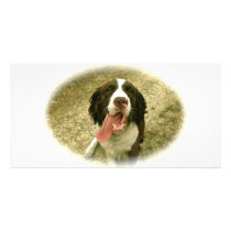 My Faithful Spaniel photo cards by puppiluv My Faithful Spaniel photo cards