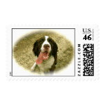 My Faithful Spaniel postage