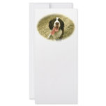 My Faithful Spaniel Rack Card
