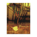 My fallen heart postcards