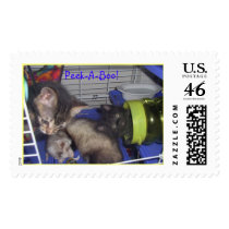 My family postage