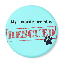 My Favorite Breed Is Rescued Refrigerator Magnet