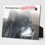 My Favorite Breed Is Rescued Photo Plaques