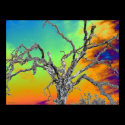 my favorite psychedelic tree posters