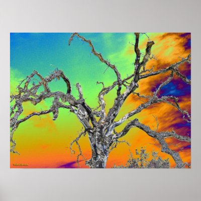 my favorite psychedelic tree posters by Web420