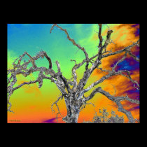 my favorite psychedelic tree posters