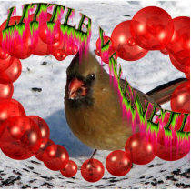 My Female Cardinal Valentine With Red Bubble Heart photo sculptures by redogpeters My Female Cardinal Valentine With Red Bubble Heart photo sculptures