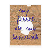My Ferret Ate My Homework Postcards