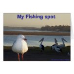 My Fishing spot, Shoalhaven River NSW cards