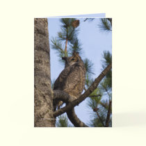 My Forest Neighbor cards