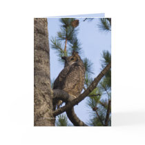 My Forest Neighbor Greeting Card