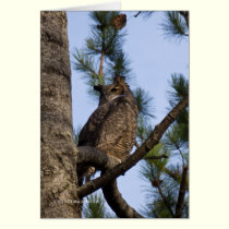 My Forest Neighbor cards