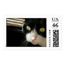 My Forever Friend Postage Stamp