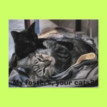 My fosters, your cats? postcards