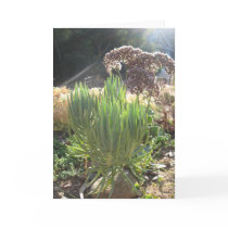 My Friend's Garden Greeting Cards