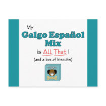 My Galgo Espanol Mix is All That! Post Card